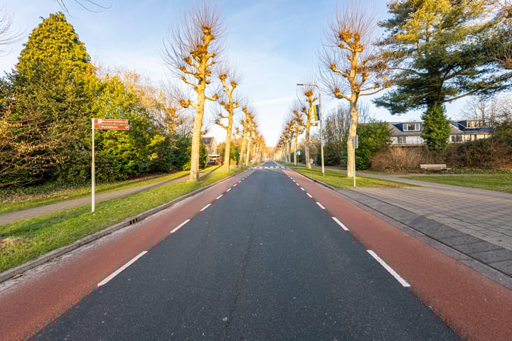 Foto 50 van Pieter Bruegellaan 8