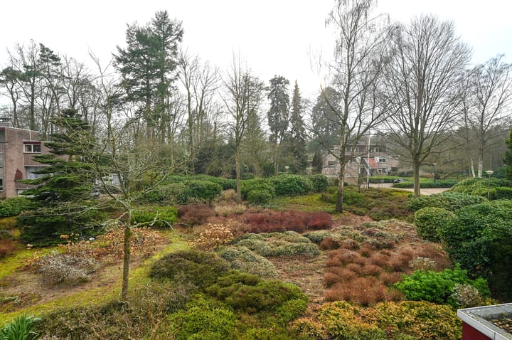 Foto 4 van Uytenbosch 17