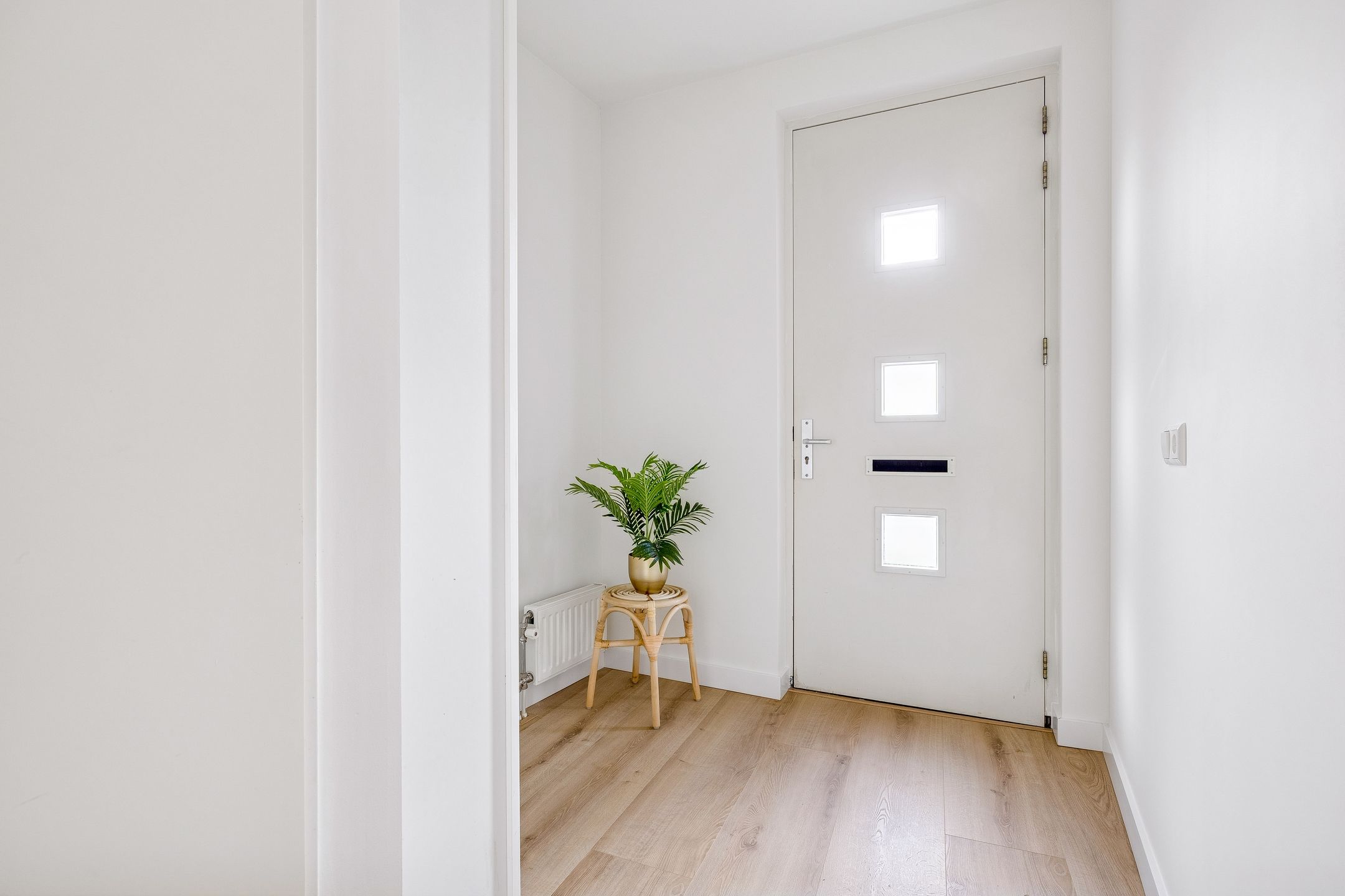 Photo 6 of Palladio 6