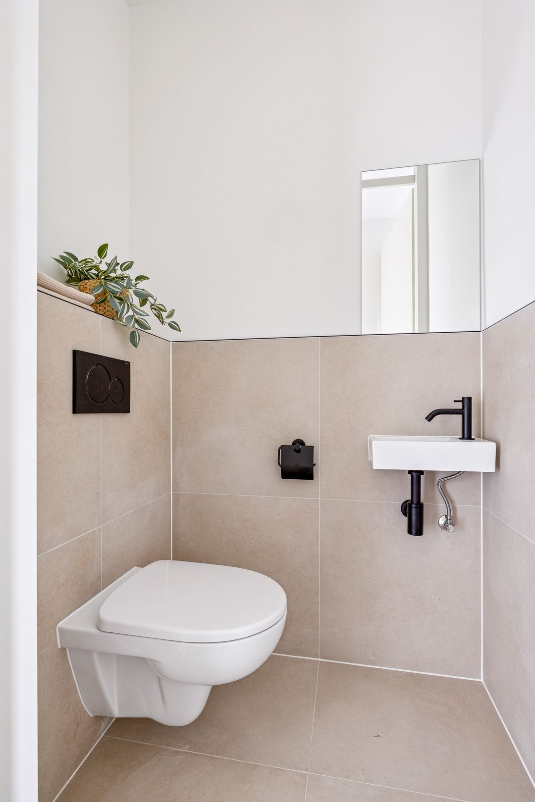 Photo 8 of Palladio 6