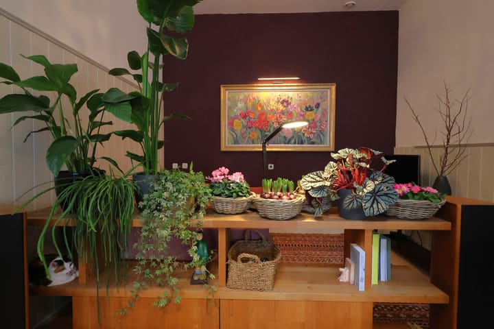 Foto 5 van Hoogend 16-A