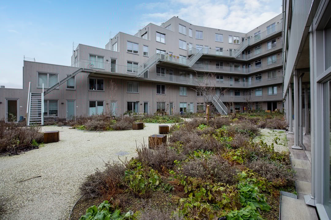 Foto 1 van Albertina Sisulupad 188