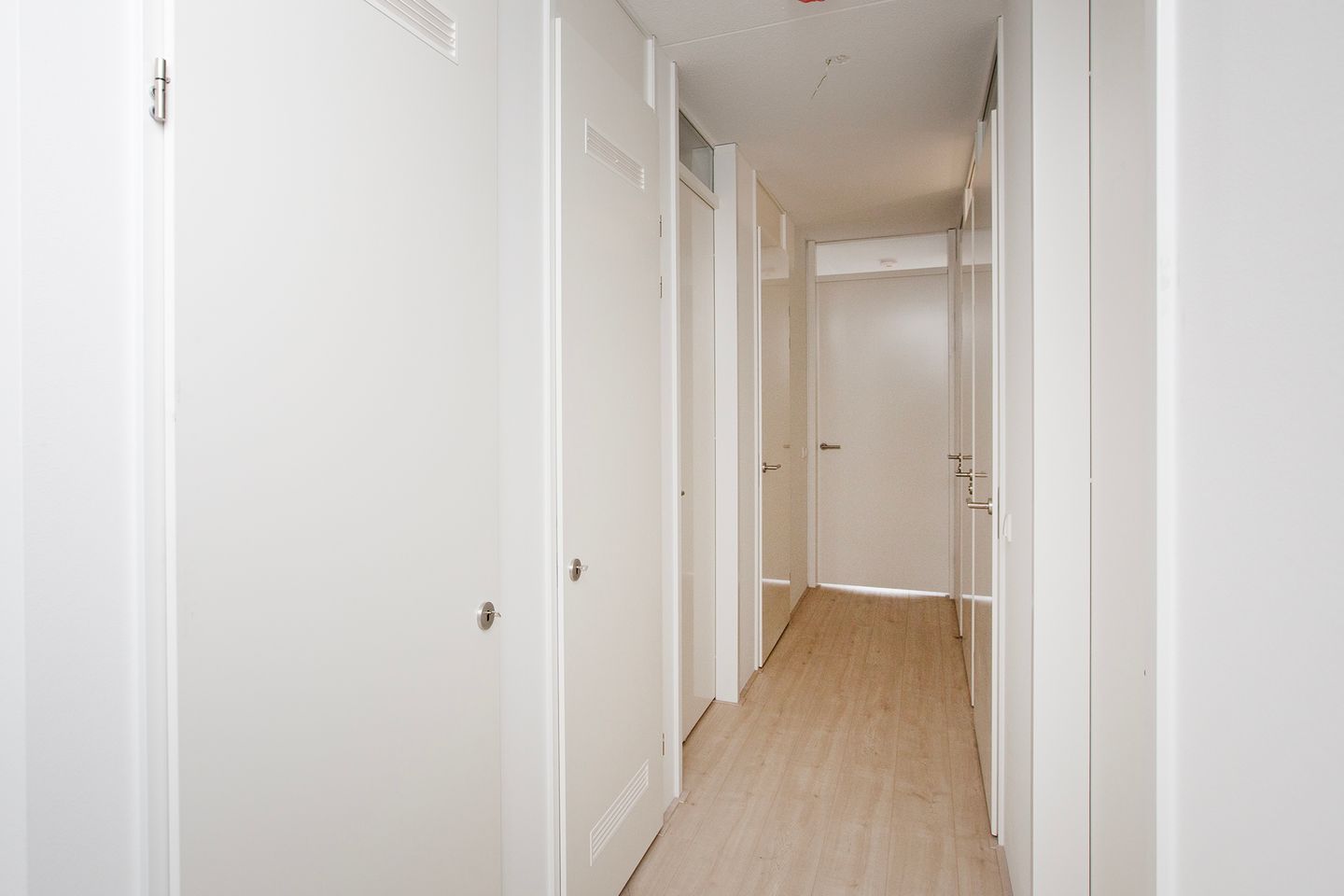 Foto 10 van Albertina Sisulupad 188