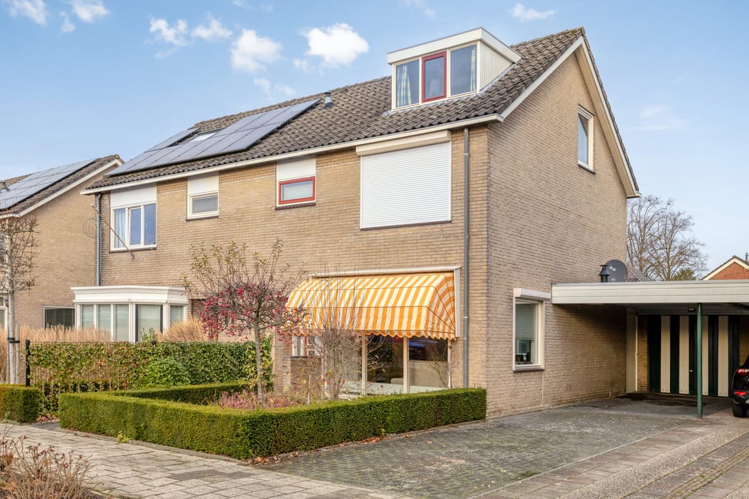 Foto 7 van Ridderspoor 13