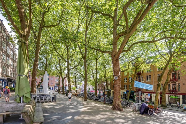 Foto 41 van Tweede Van der Helststraat 26-2