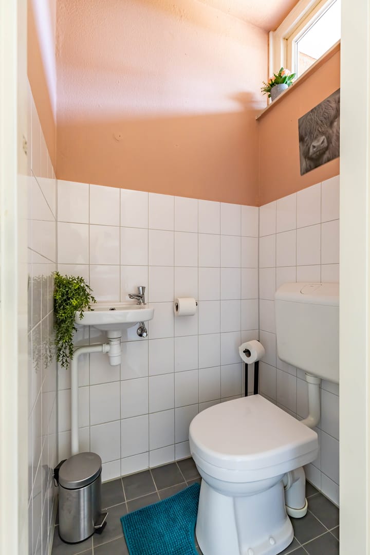 Foto 17 van de Deel 6