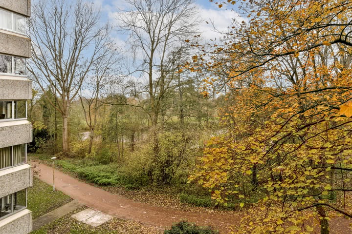 Foto 5 van Gouden Leeuw 1019