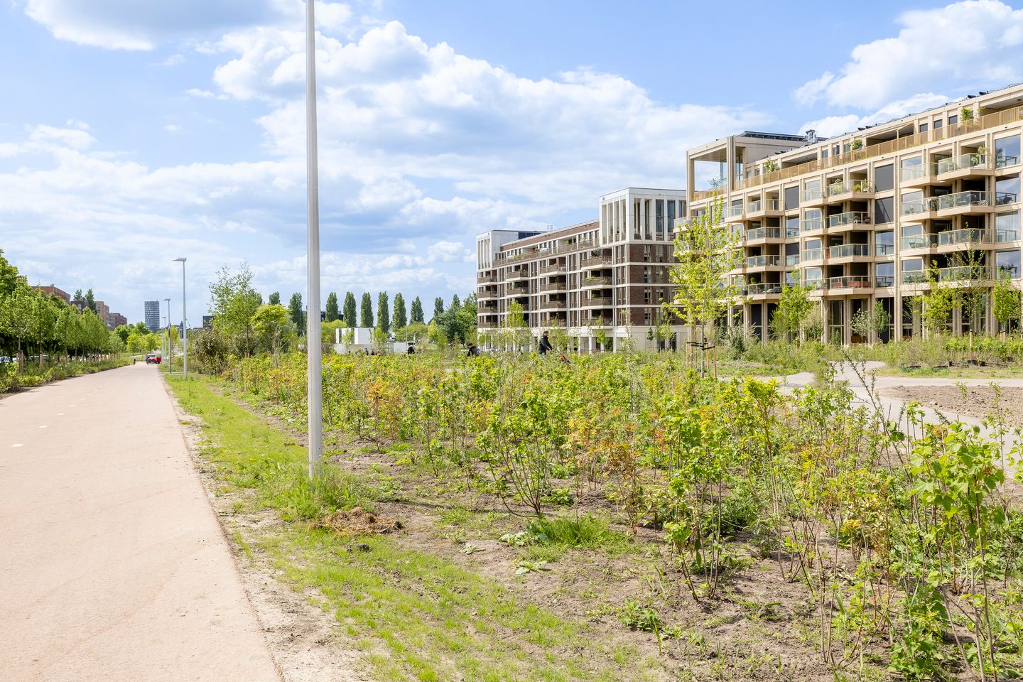 Foto 50 van Laurierweg 144