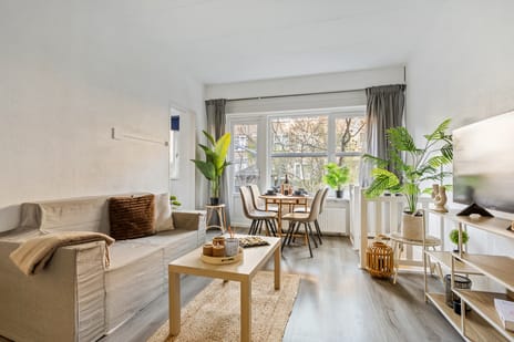 Tapuitstraat thumbnail