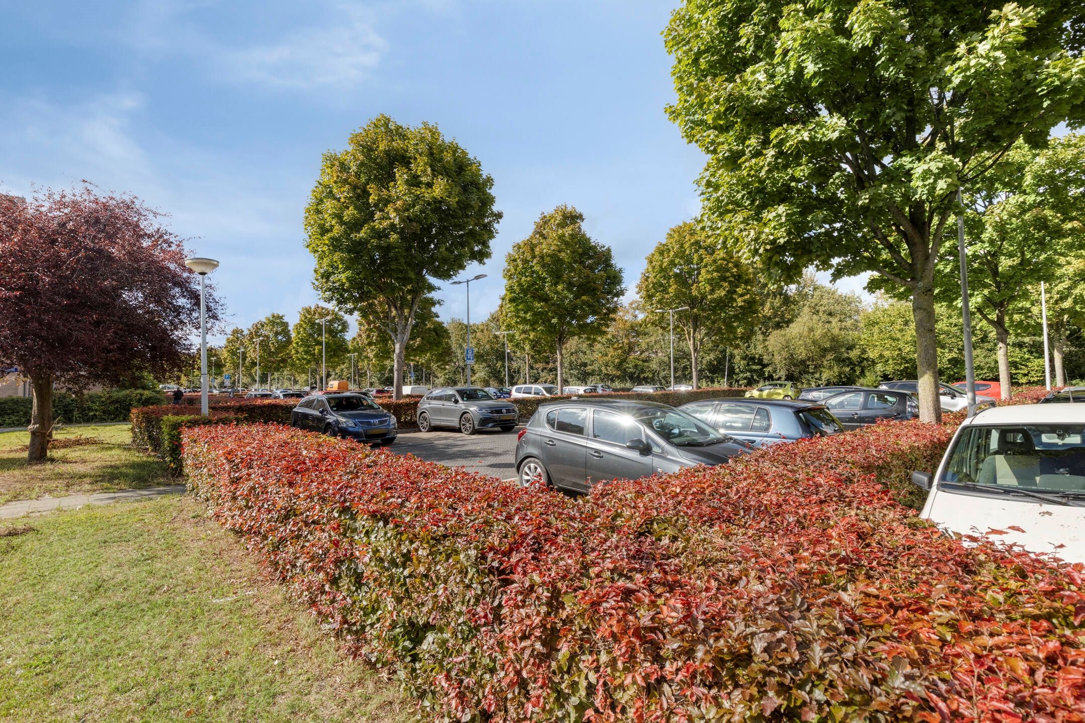 Foto 27 van Soesterberghof 49