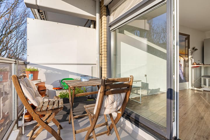 Foto 17 van Orion 43