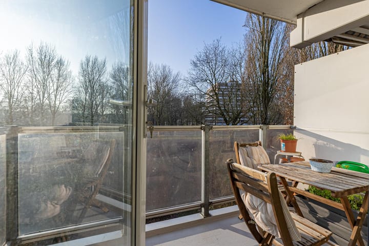 Foto 16 van Orion 43