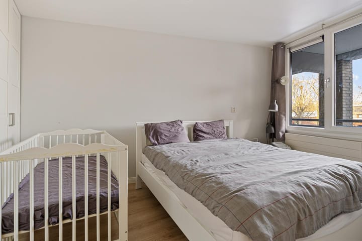 Foto 19 van Orion 43