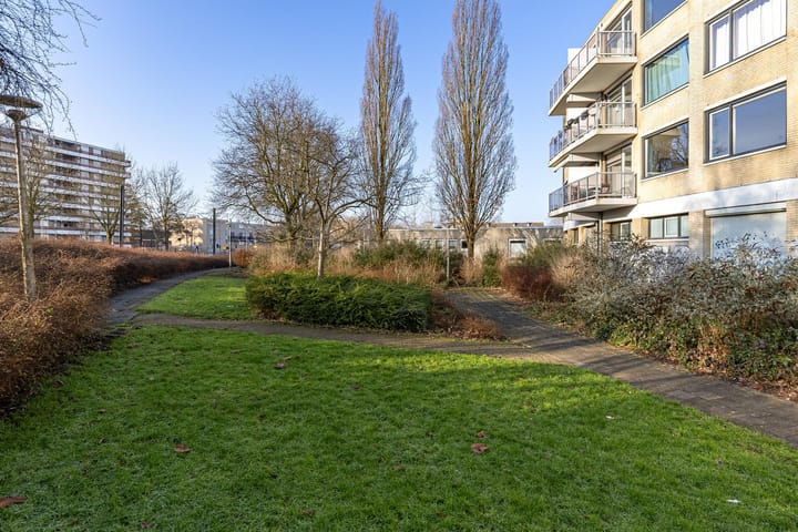 Foto 30 van Orion 43