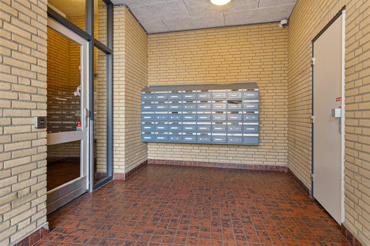 Foto 25 van Orion 43