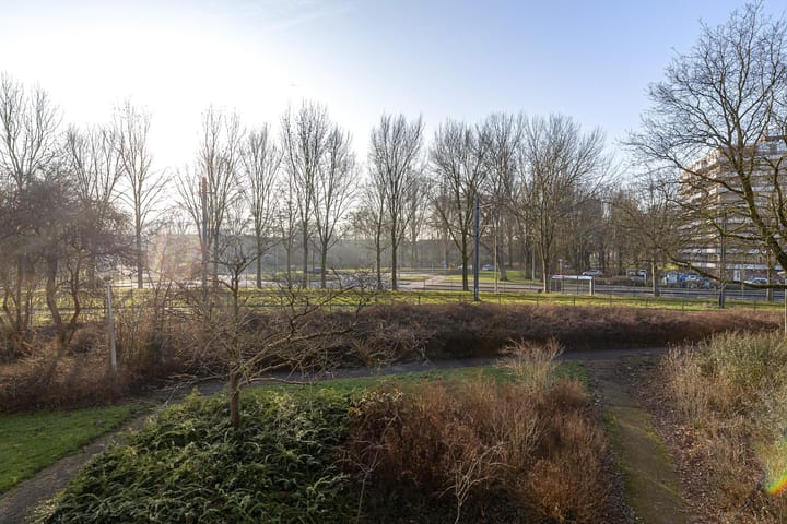 Foto 33 van Orion 43