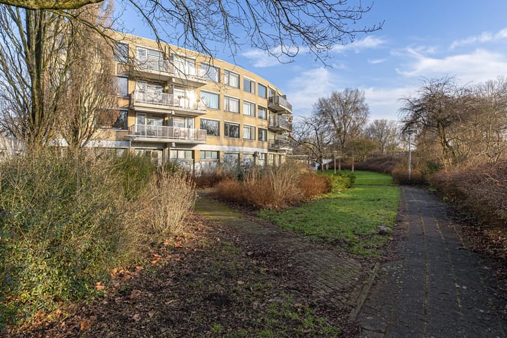 Foto 31 van Orion 43