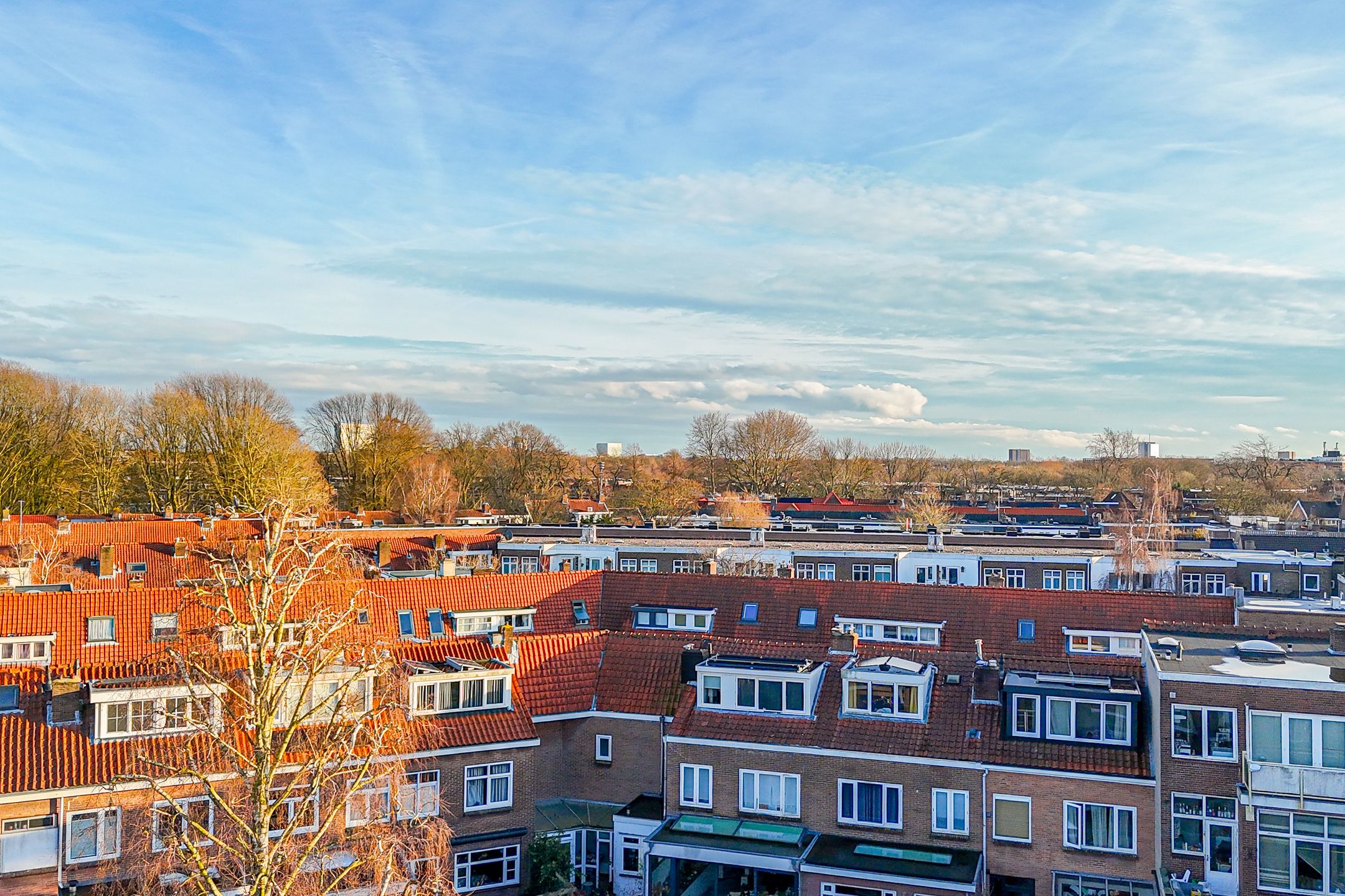 Foto 39 van Jacob van der Borchstraat 71