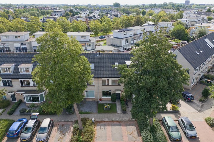 Foto 2 van Potvis 25