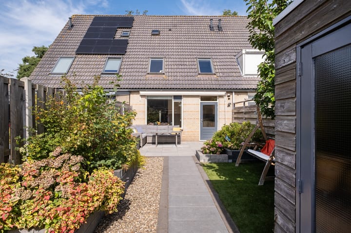 Foto 3 van Potvis 25