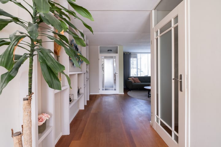 Foto 8 van Potvis 25