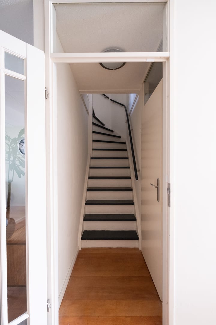 Foto 15 van Potvis 25