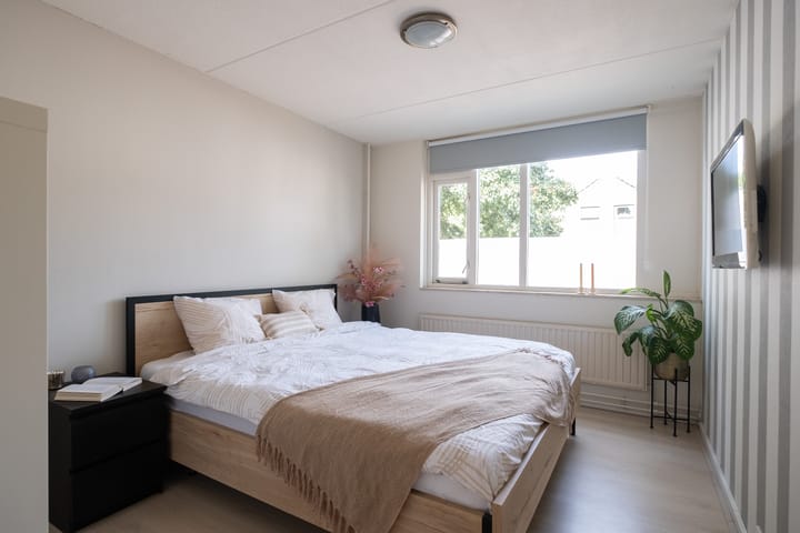 Foto 18 van Potvis 25