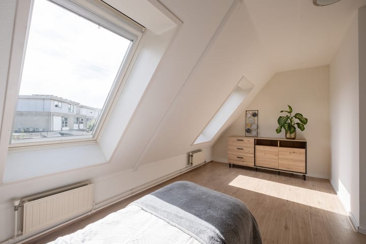 Foto 20 van Potvis 25