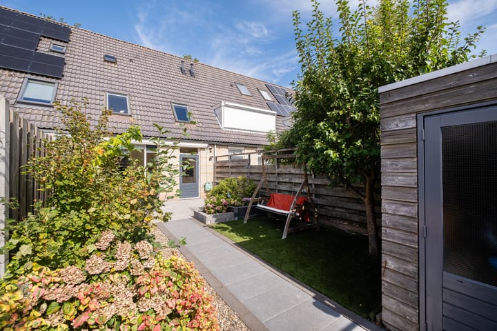 Foto 31 van Potvis 25