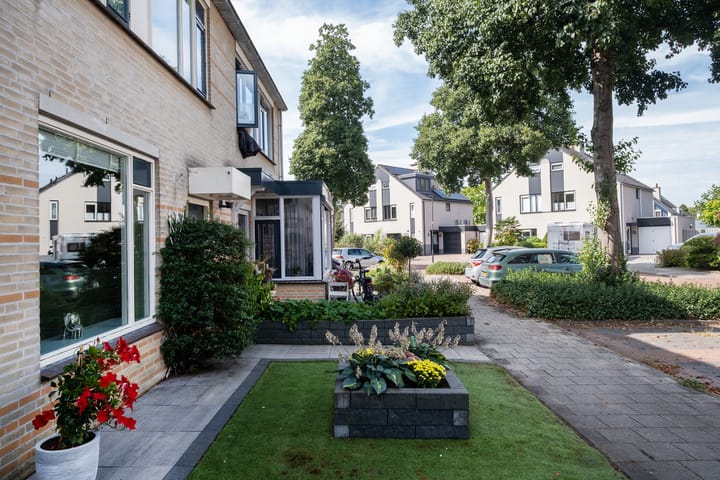 Foto 36 van Potvis 25