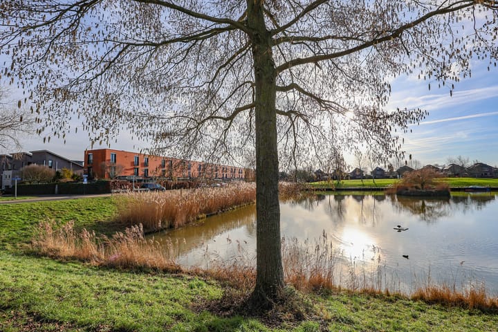 Foto 56 van Singraven 15