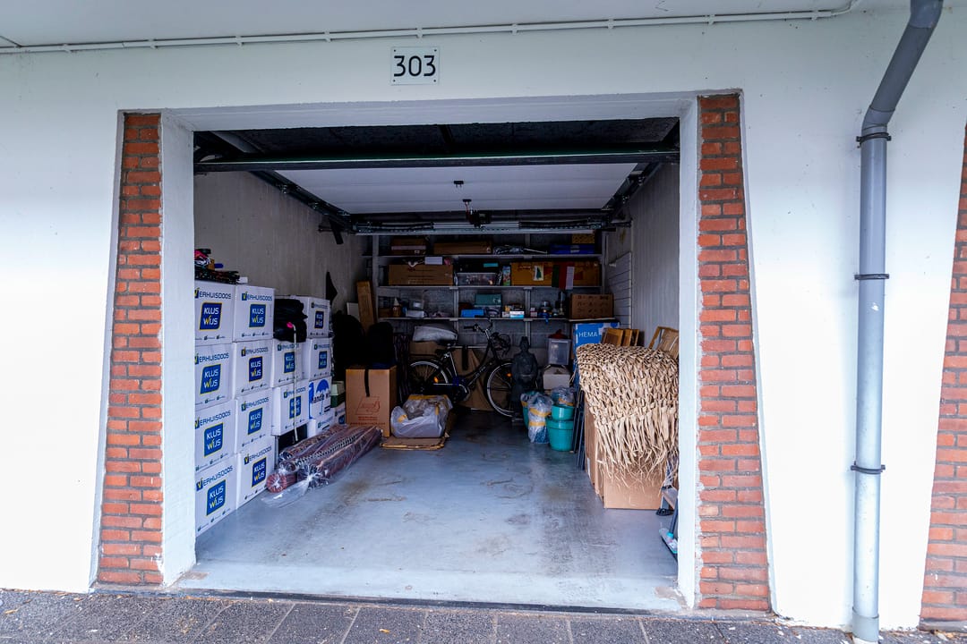 Foto 32 van Ranonkelstraat 383