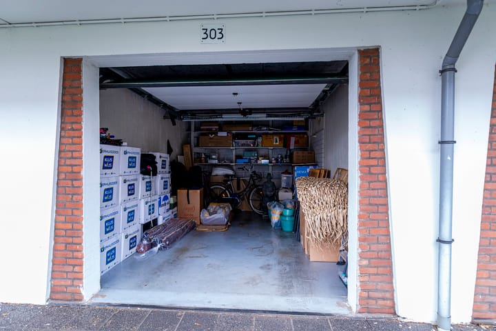 Foto 33 van Ranonkelstraat 383