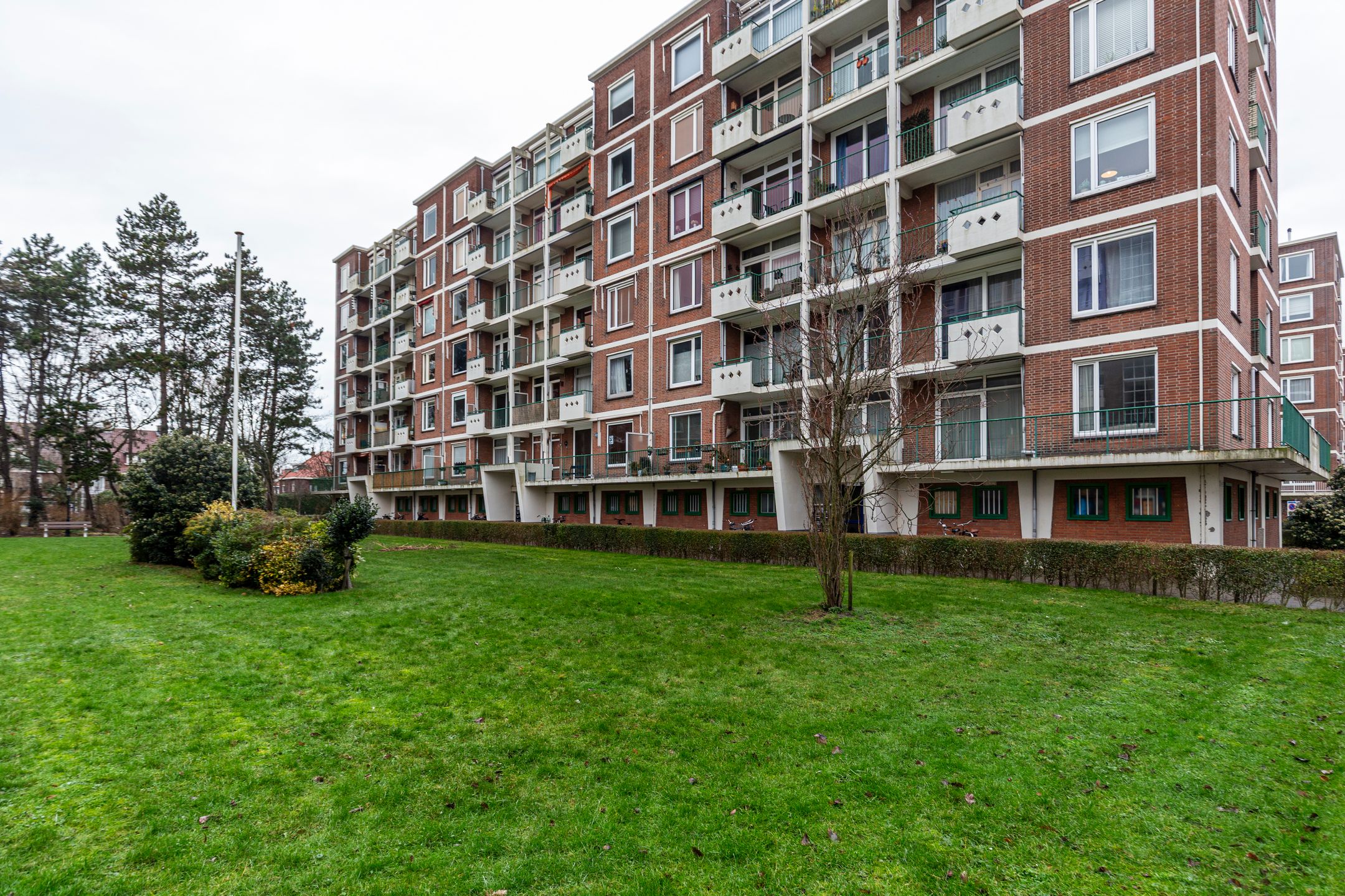 Foto 36 van Ranonkelstraat 383