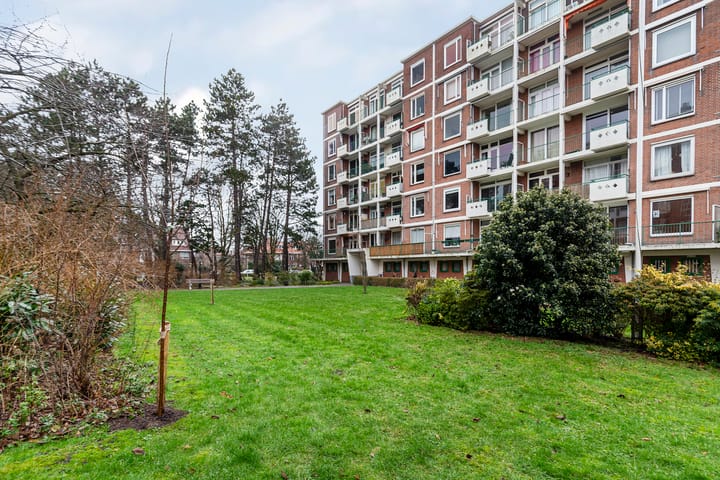 Foto 38 van Ranonkelstraat 383