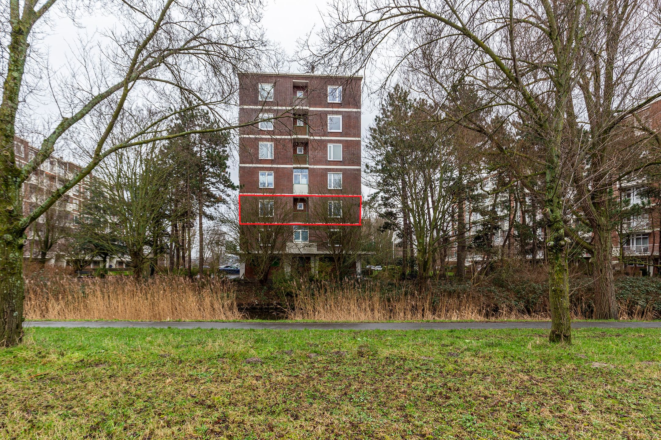 Foto 39 van Ranonkelstraat 383