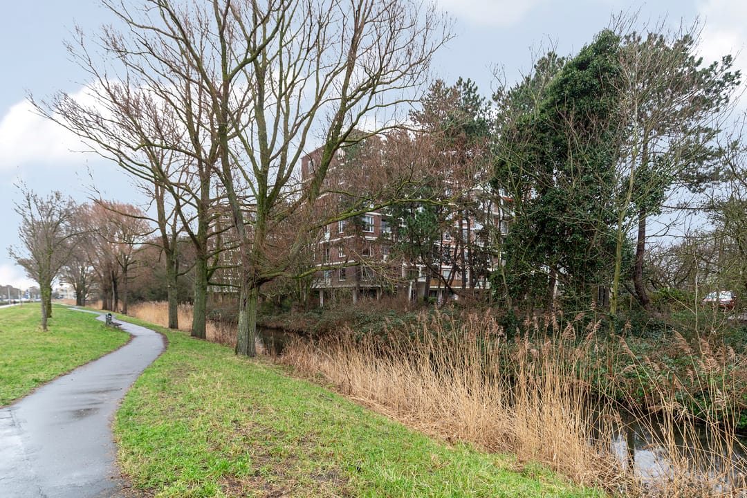 Foto 41 van Ranonkelstraat 383