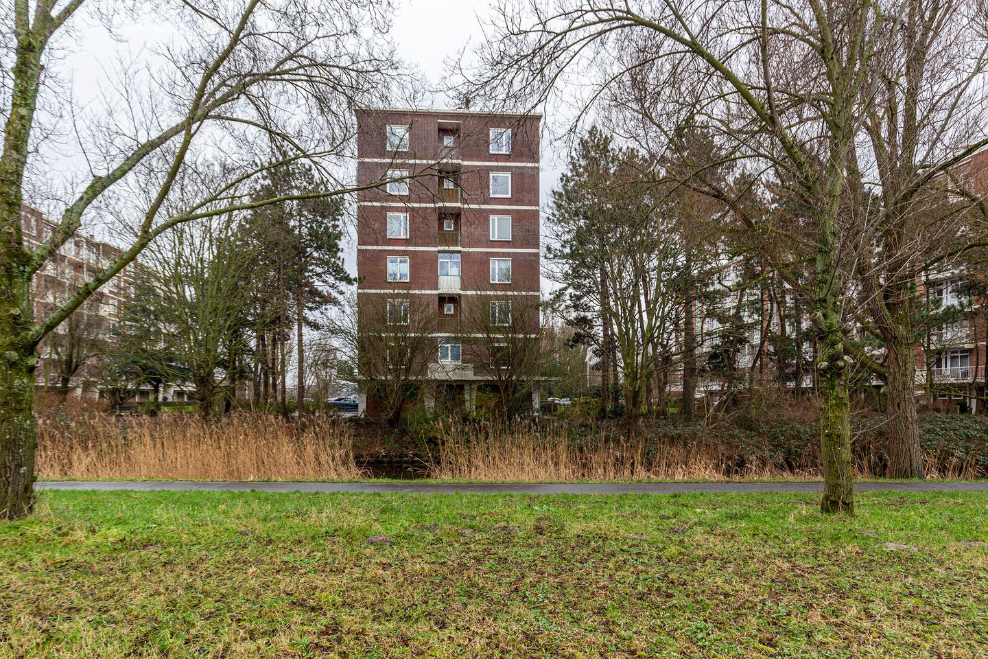 Foto 40 van Ranonkelstraat 383