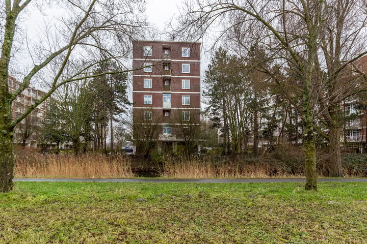 Foto 41 van Ranonkelstraat 383