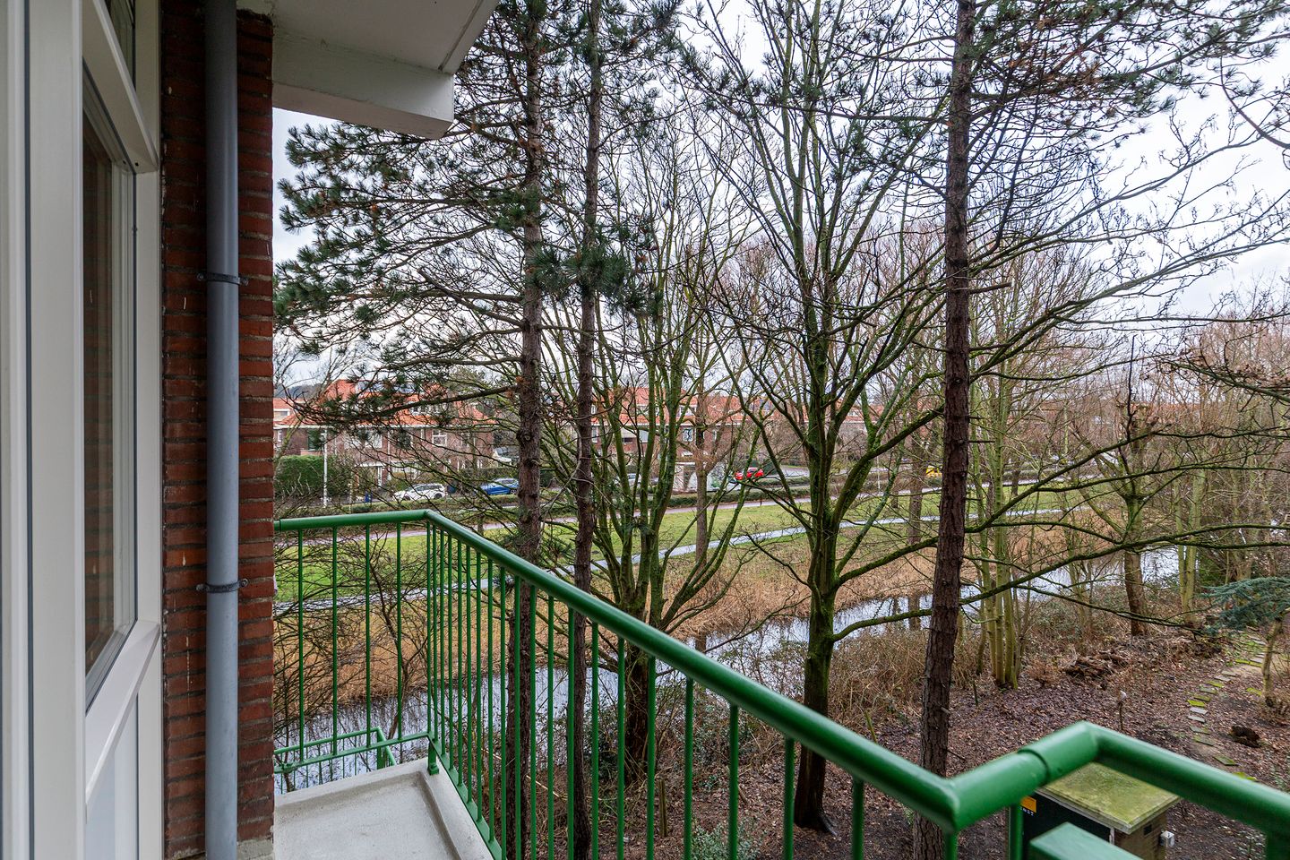 Foto 19 van Ranonkelstraat 383