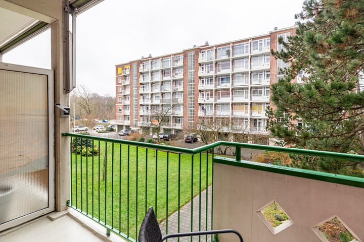 Foto 11 van Ranonkelstraat 383