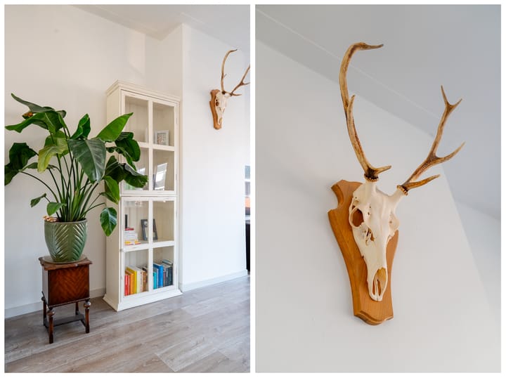 Foto 10 van Van Starkenborghstraat 17