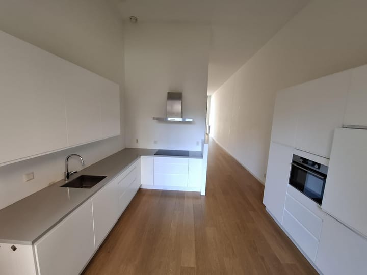 Foto 10 van Loods Holland 8