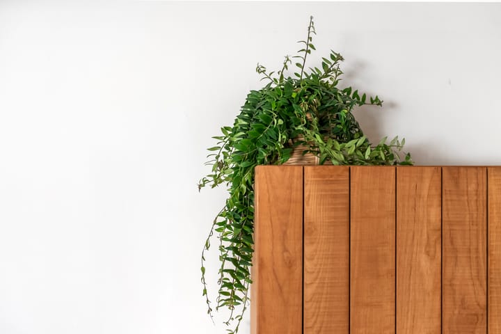 Photo 28 of Blackwoodstraat 31