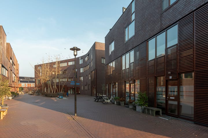 Kokardebloem 25
