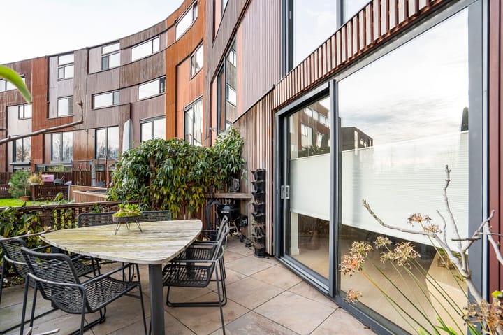 Foto 9 van Kokardebloem 25