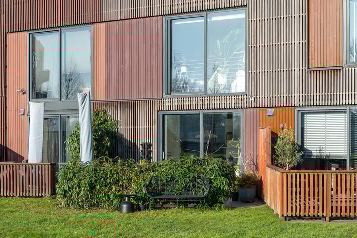 Foto 13 van Kokardebloem 25