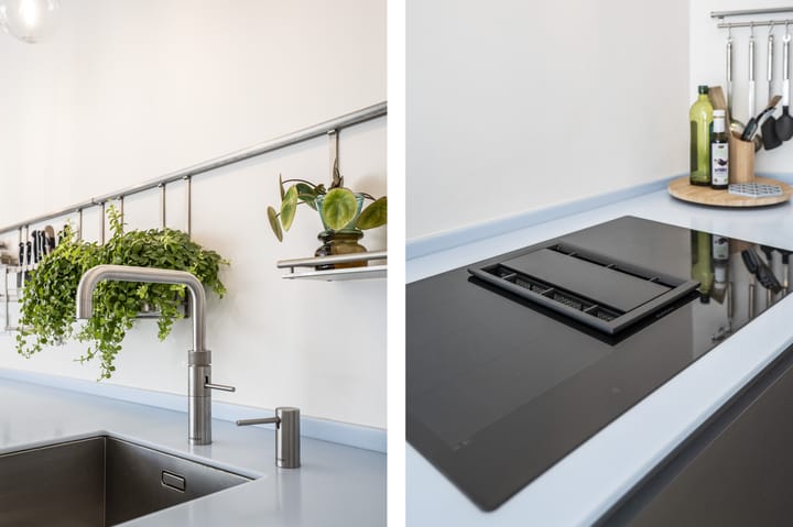 Foto 15 van Kokardebloem 25