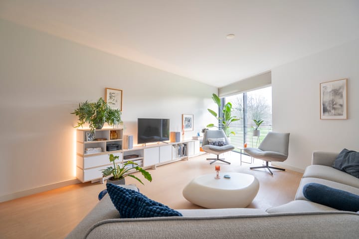 Foto 19 van Kokardebloem 25