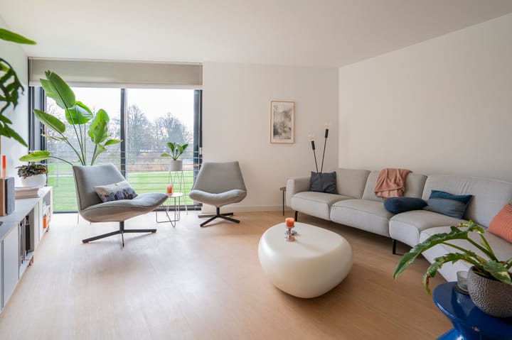 Foto 20 van Kokardebloem 25